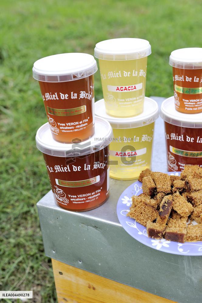 Illustration - Honey