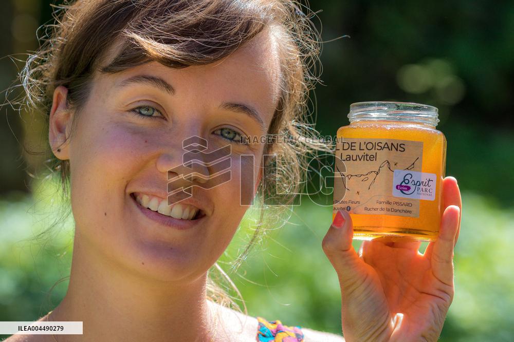 Illustration - Honey