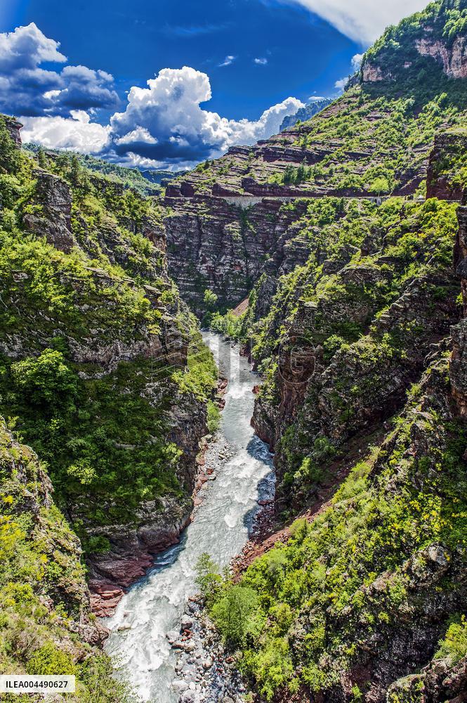 Illustration - French Riviera