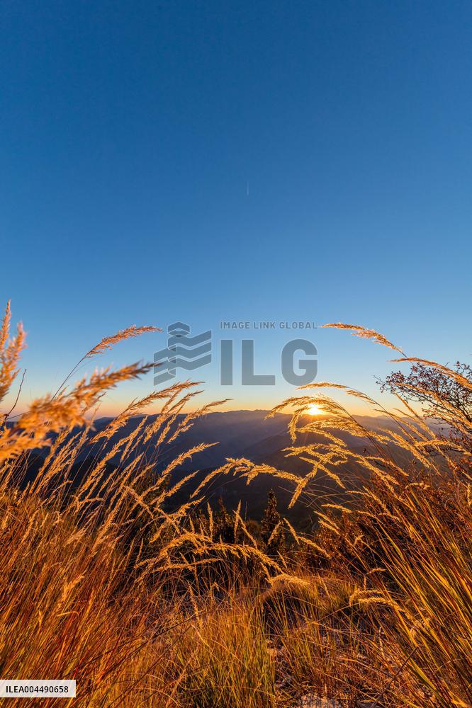 Illustration - French Riviera