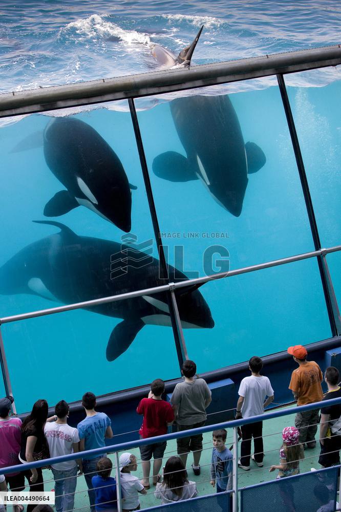 Illustration - French Riviera