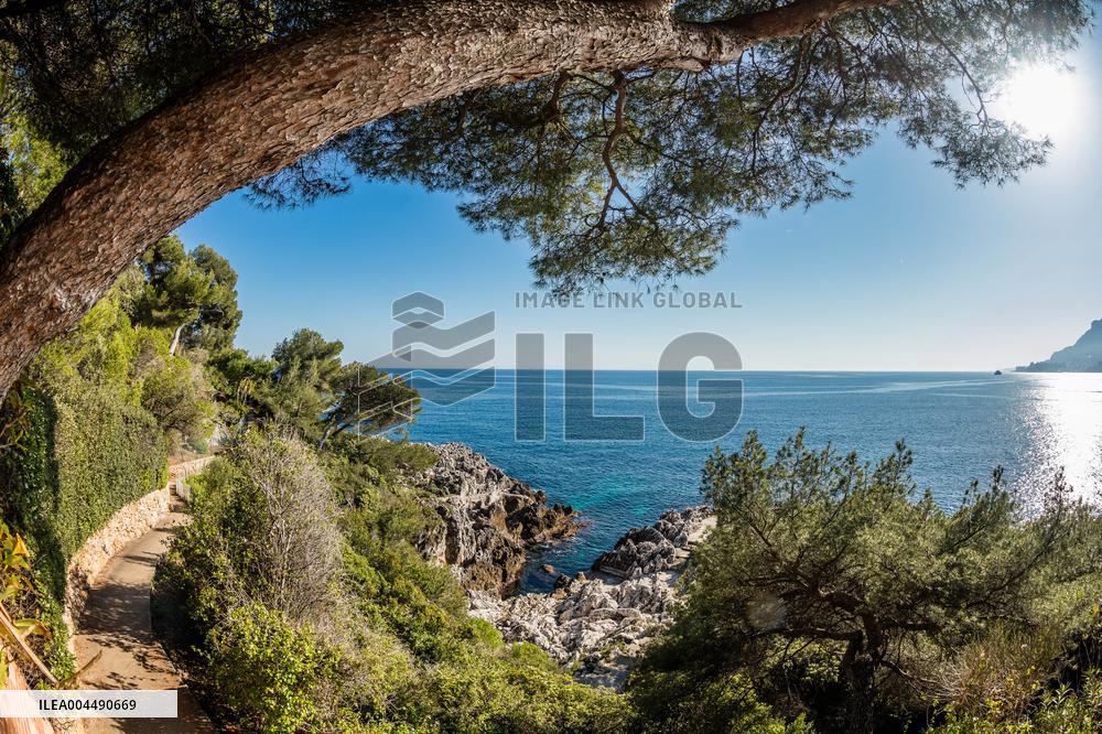 Illustration - French Riviera