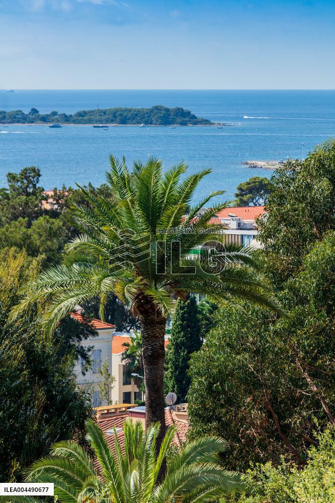 Illustration - French Riviera