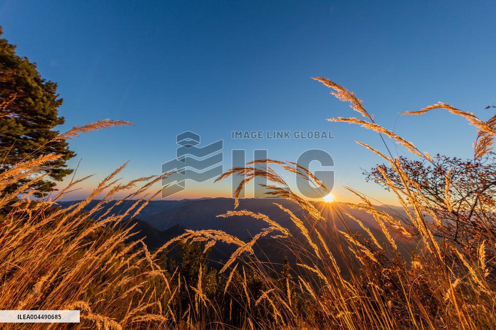 Illustration - French Riviera