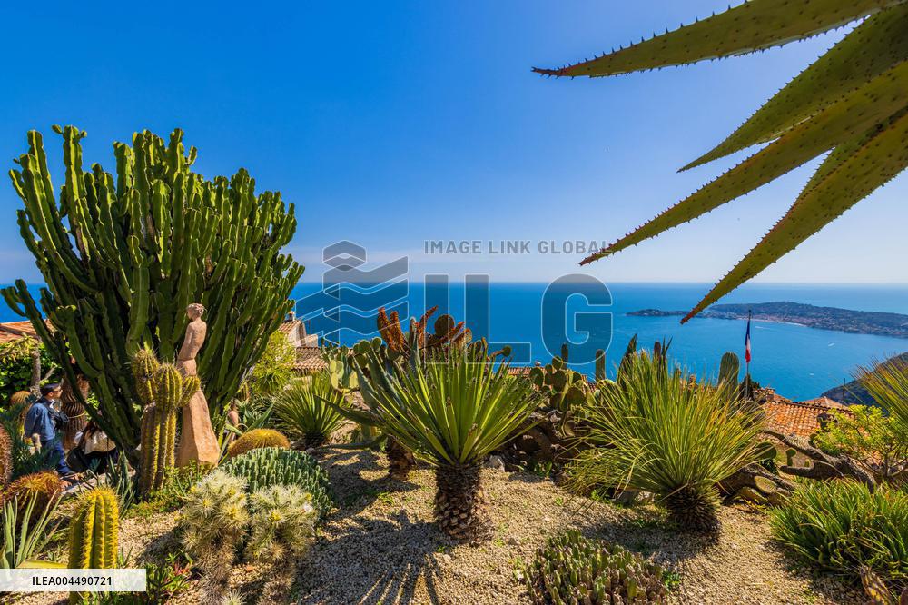 Illustration - French Riviera