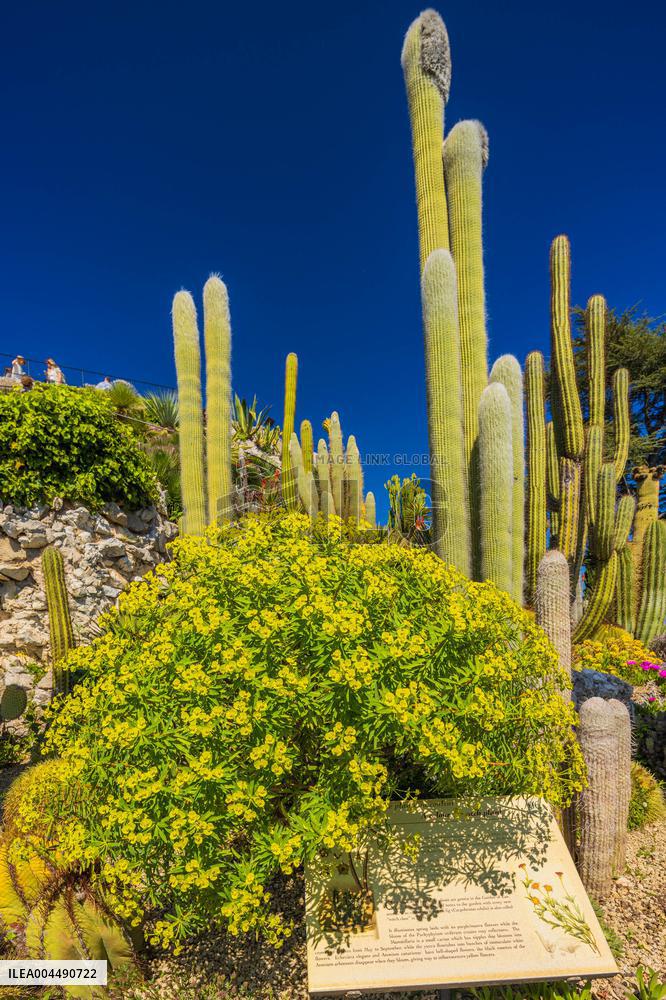 Illustration - French Riviera