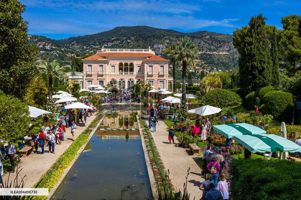 Illustration - French Riviera