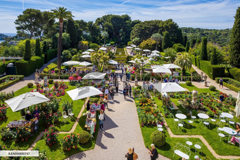 Illustration - French Riviera