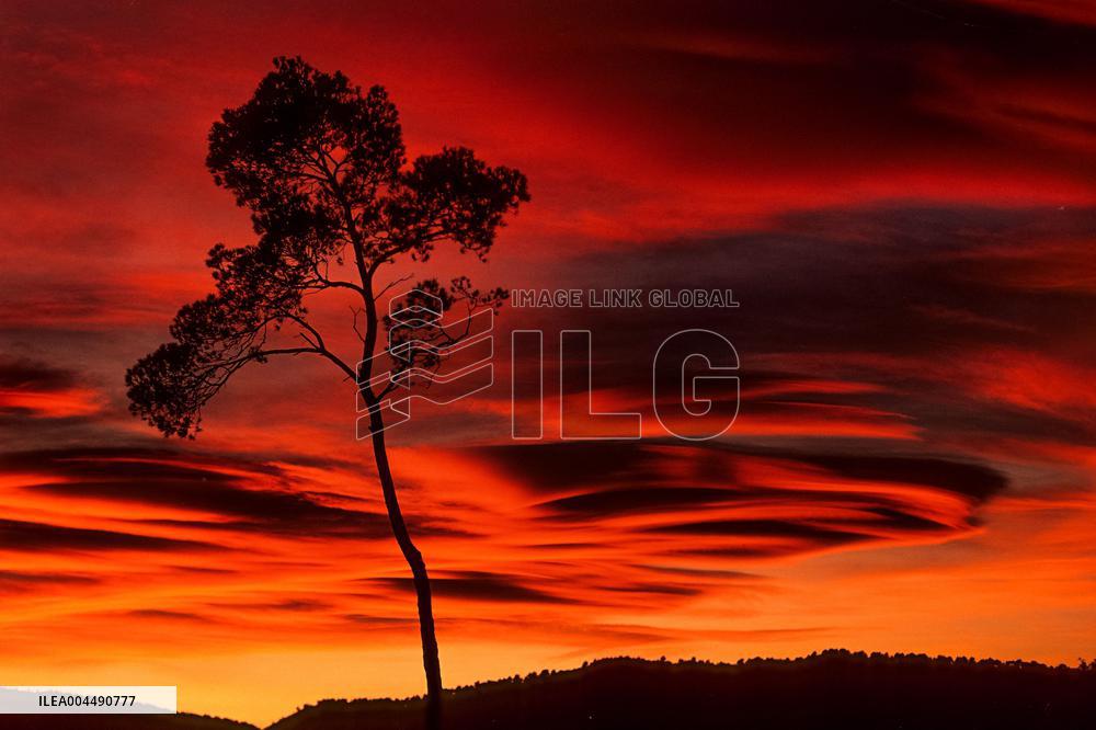 Illustration - French Riviera