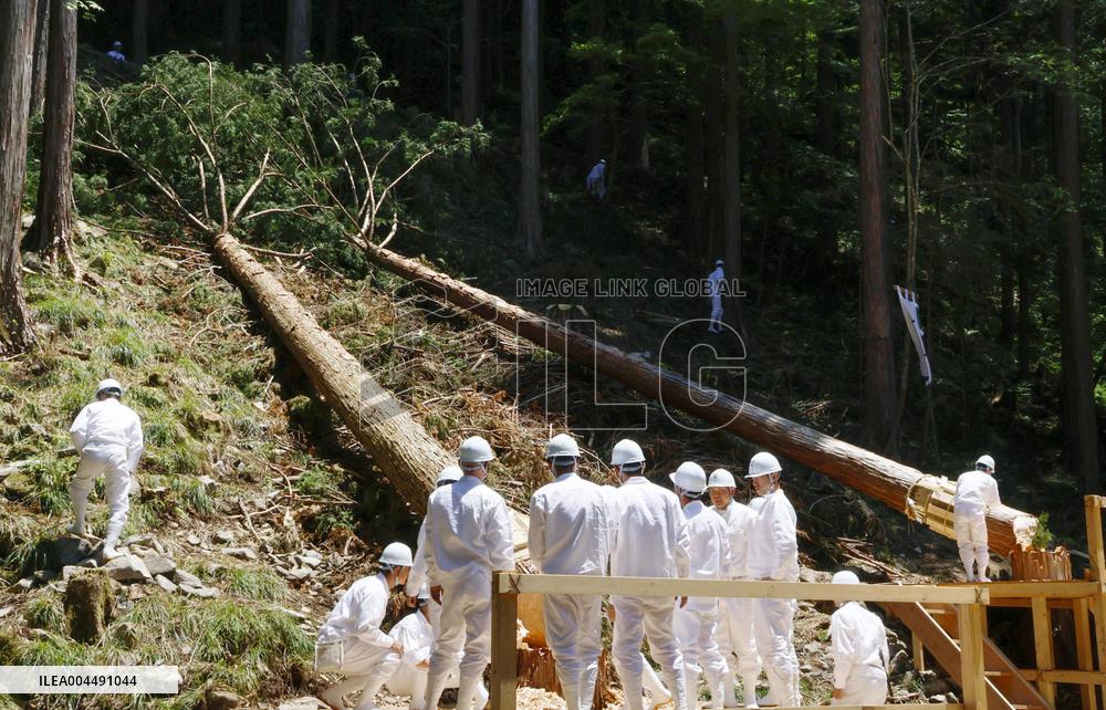 Tree-felling rite in central Japan
