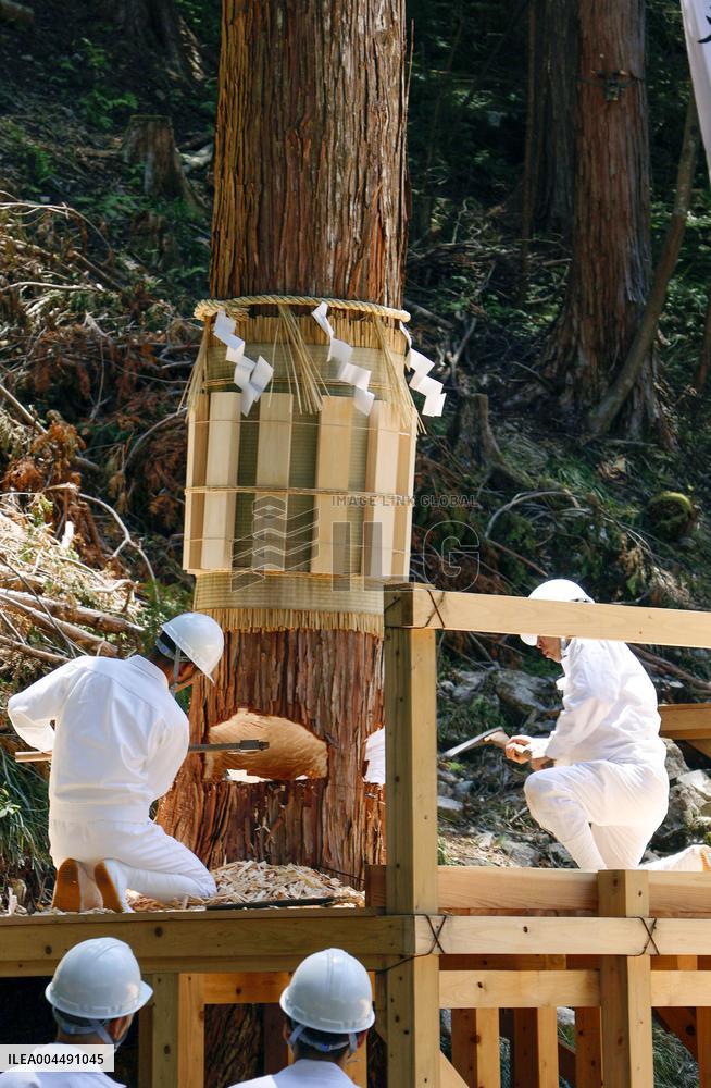 Tree-felling rite in central Japan