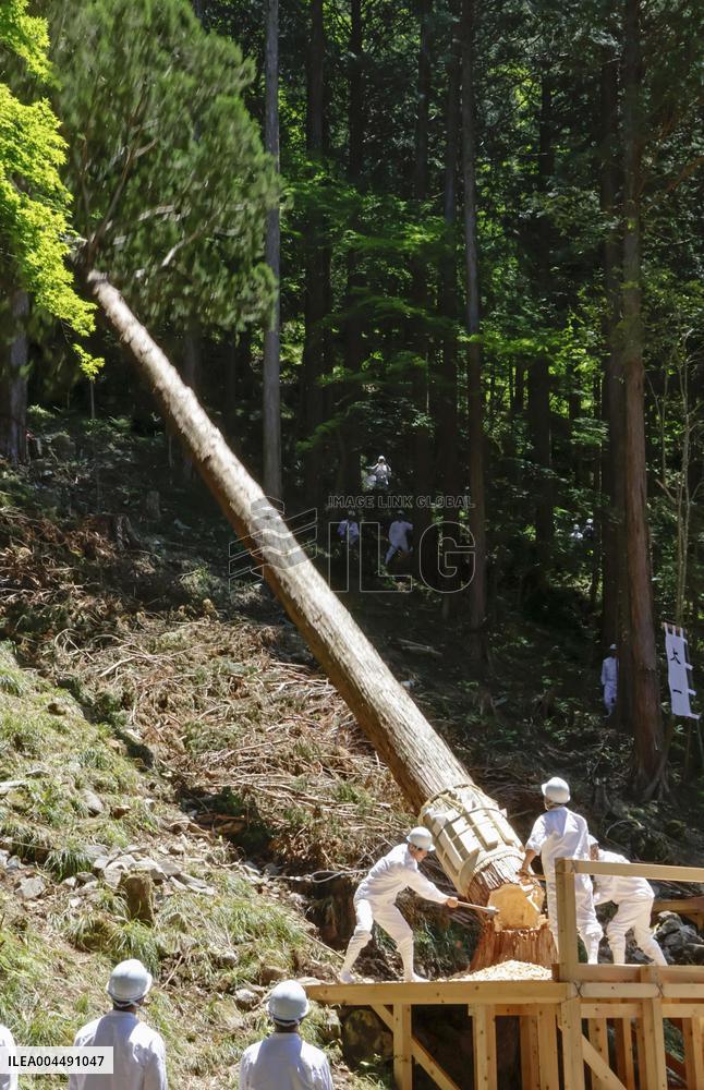 Tree-felling rite in central Japan