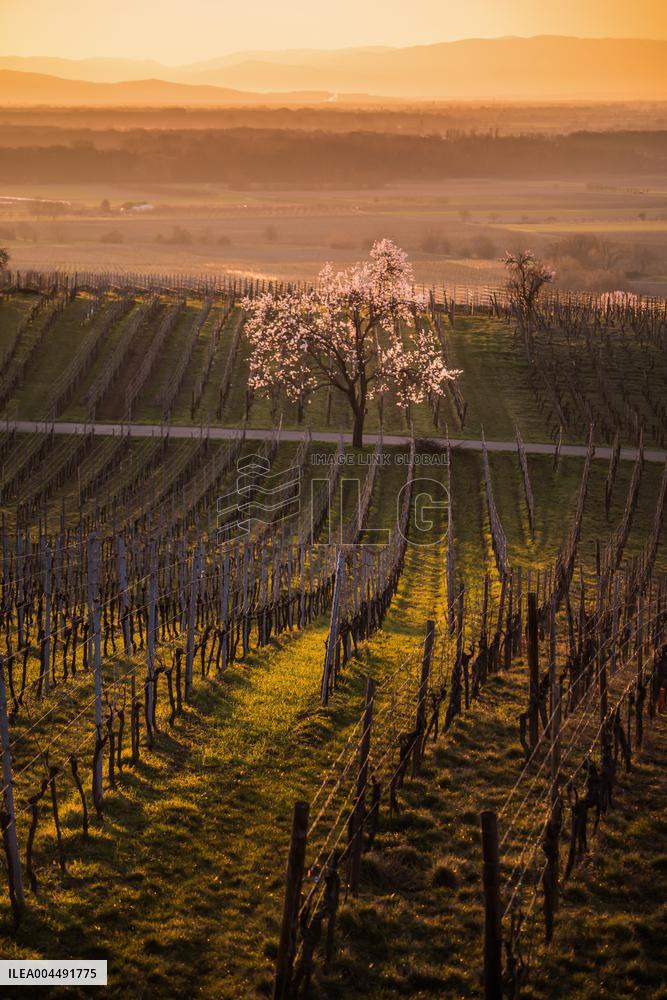 Illustration - Aerial View of France