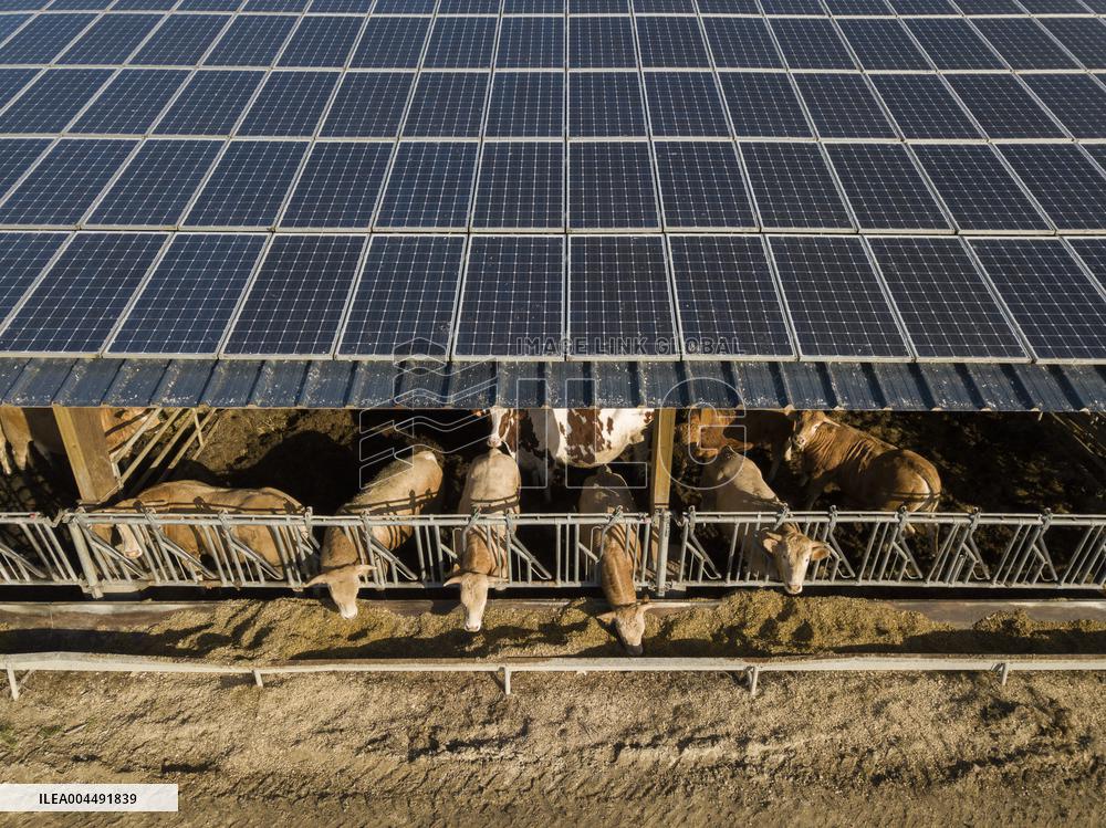 Illustration - Aerial View of France