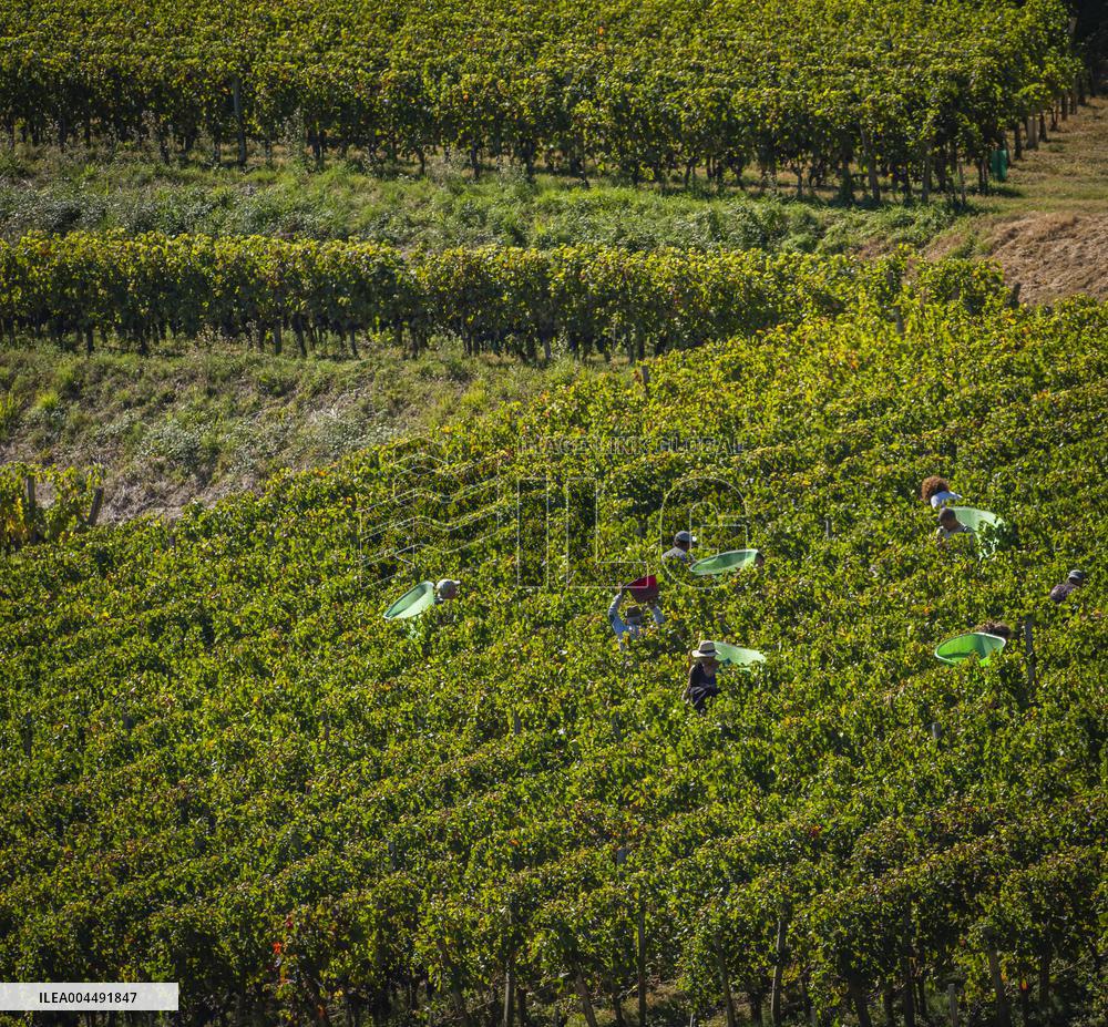 Illustration - Aerial View of France