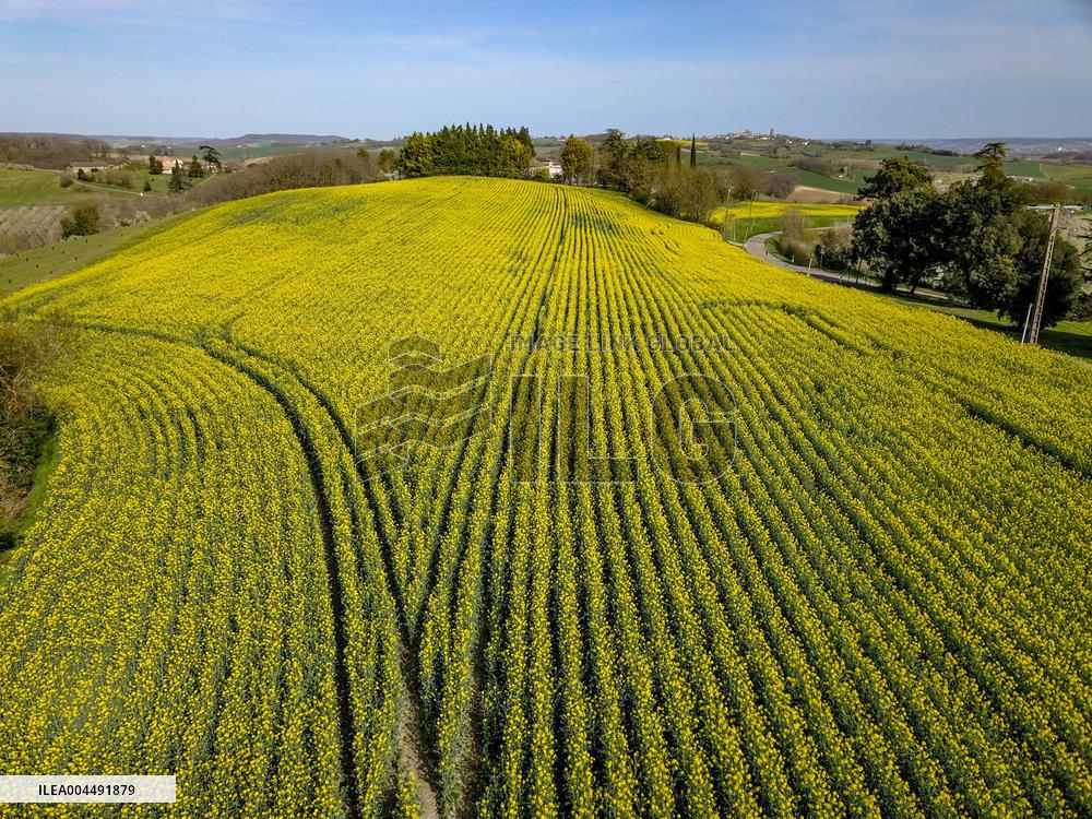 Illustration - Aerial View of France
