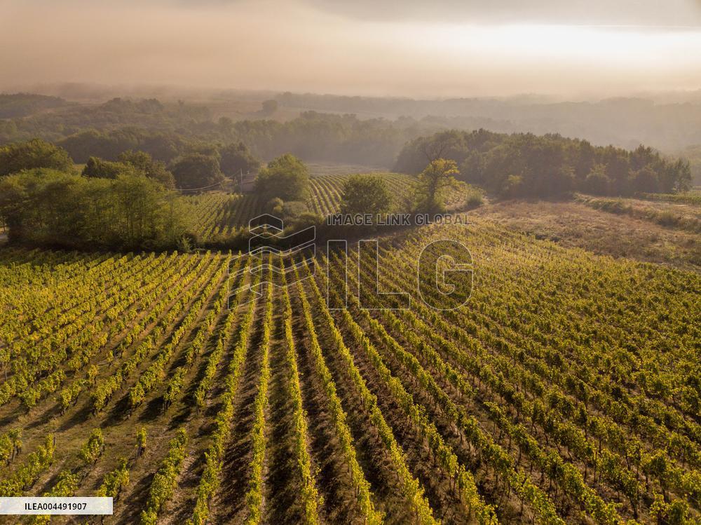 Illustration - Aerial View of France