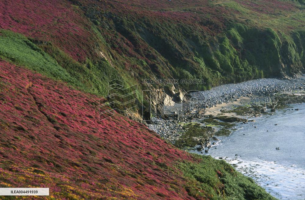 Illustration - Aerial View of France