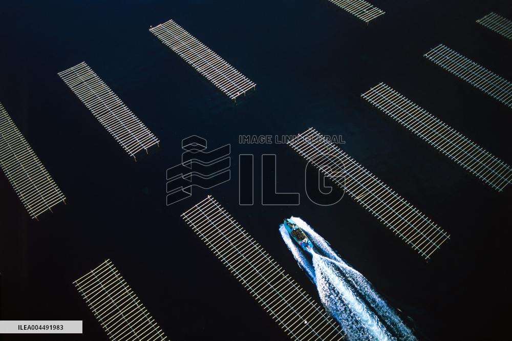 Illustration - Aerial View of France