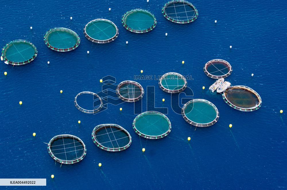 Illustration - Aerial View of France