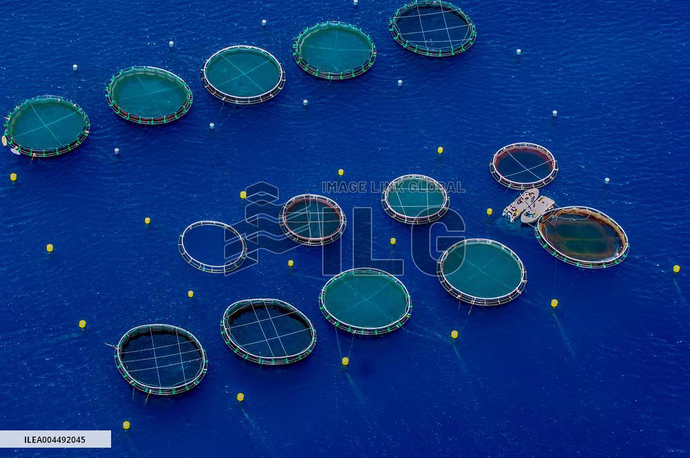 Illustration - Aerial View of France