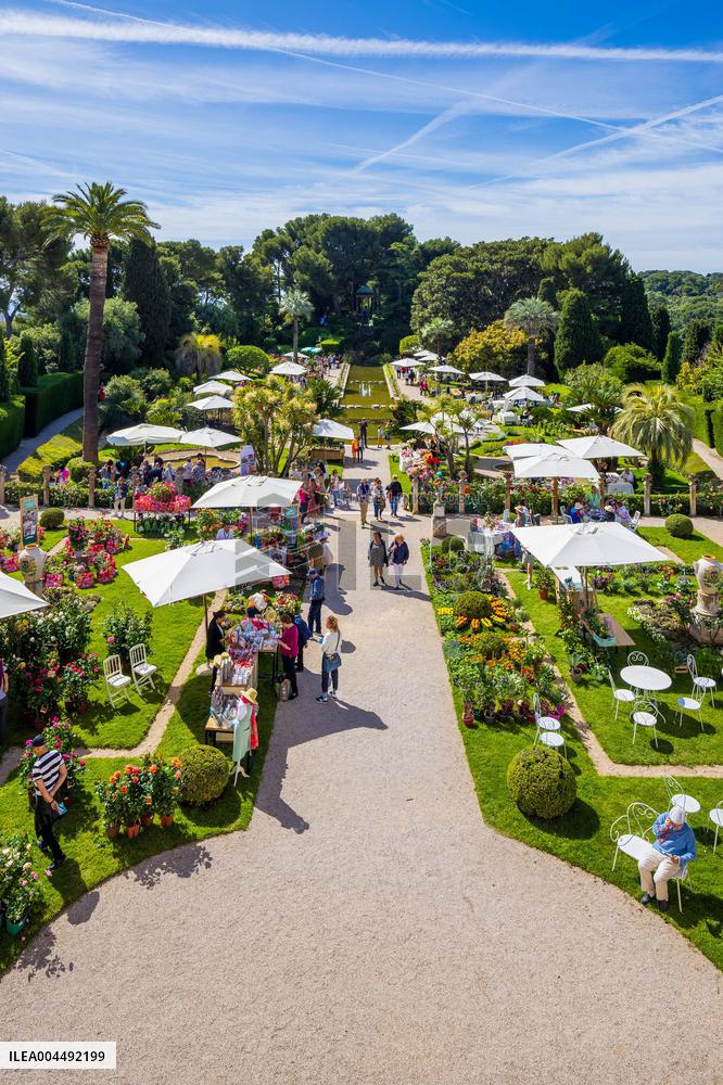 Illustration - Aerial View of France