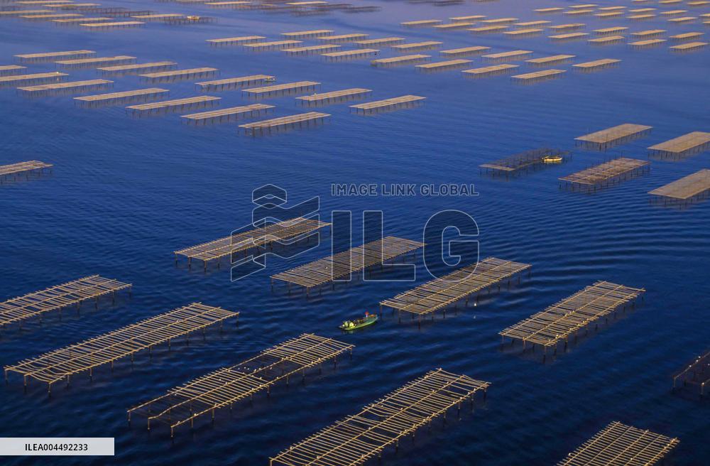 Illustration - Aerial View of France