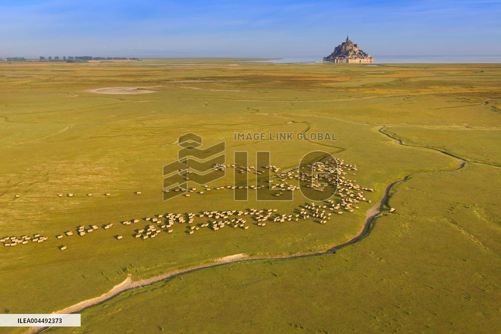 Illustration - Aerial View of France