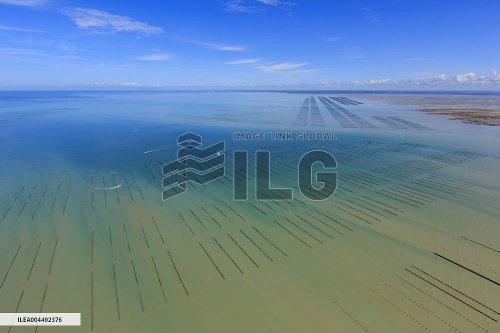 Illustration - Aerial View of France