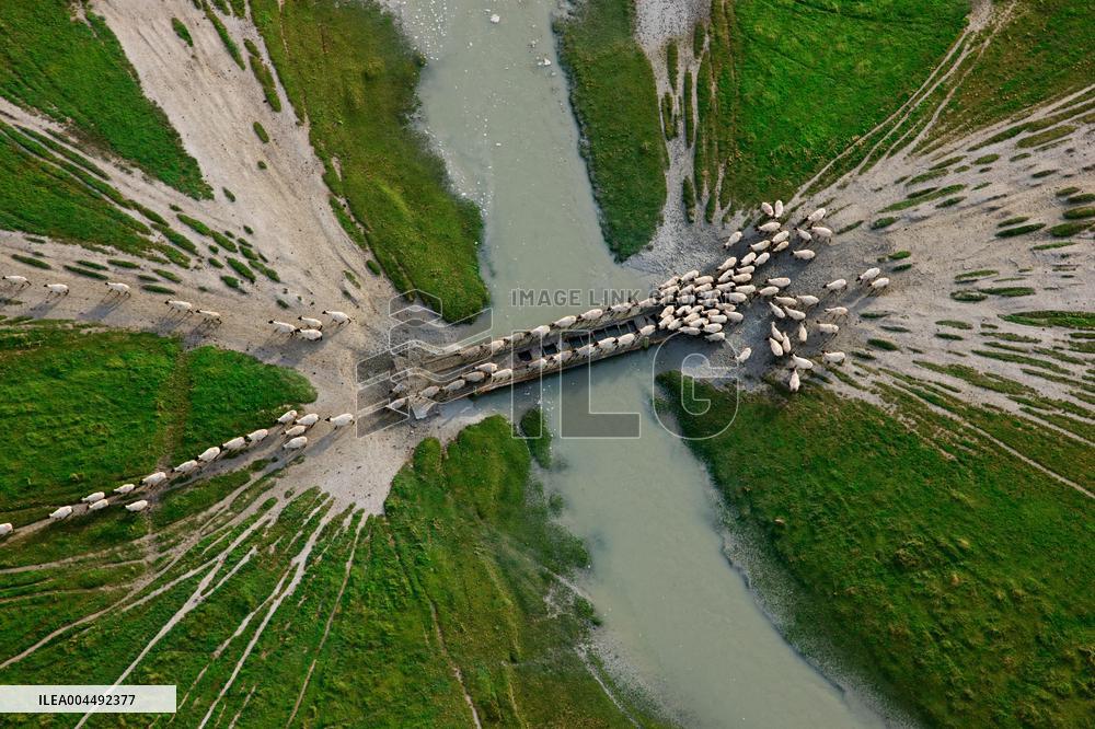 Illustration - Aerial View of France