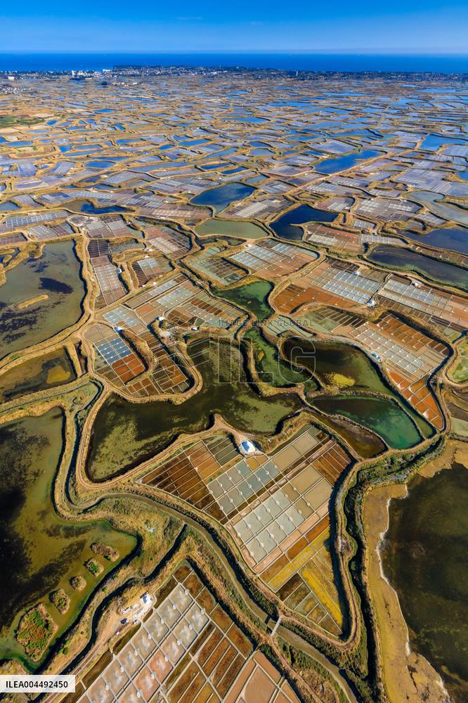 Illustration - Aerial View of France