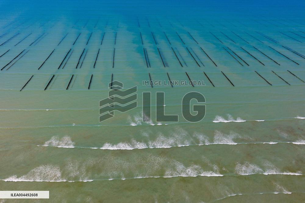 Illustration - Aerial View of France