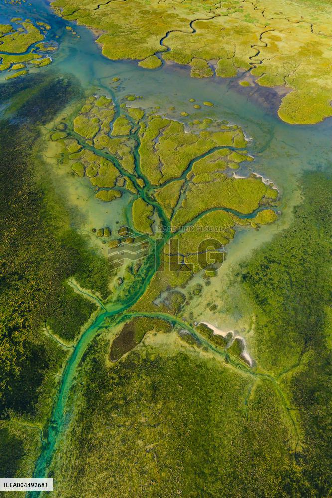 Illustration - Aerial View of France