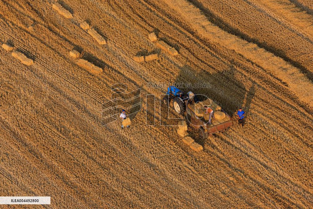 Illustration - Aerial View of France