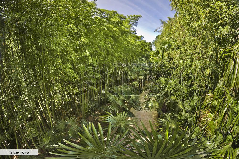 Illustration - Aerial View of France