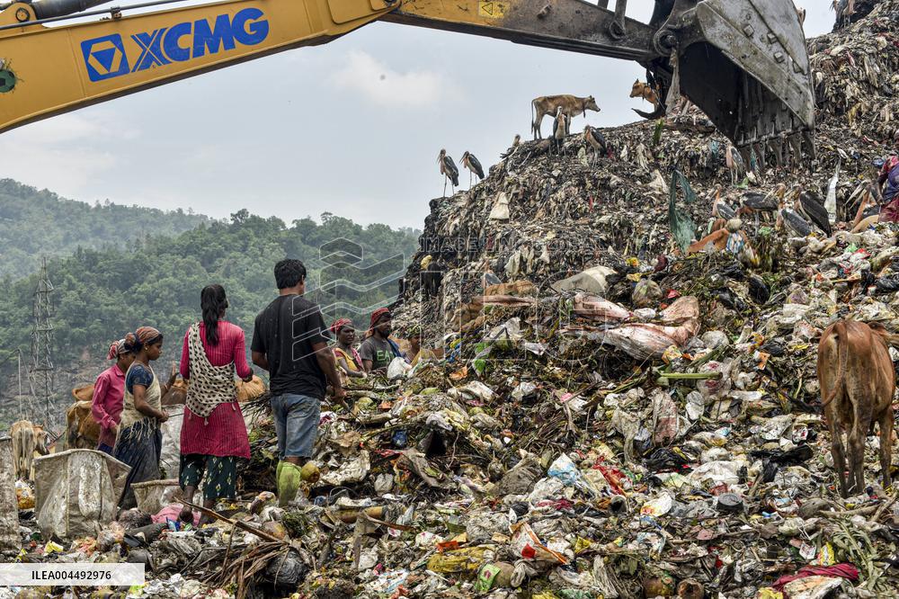 Guwahati Storks at Landfill - India