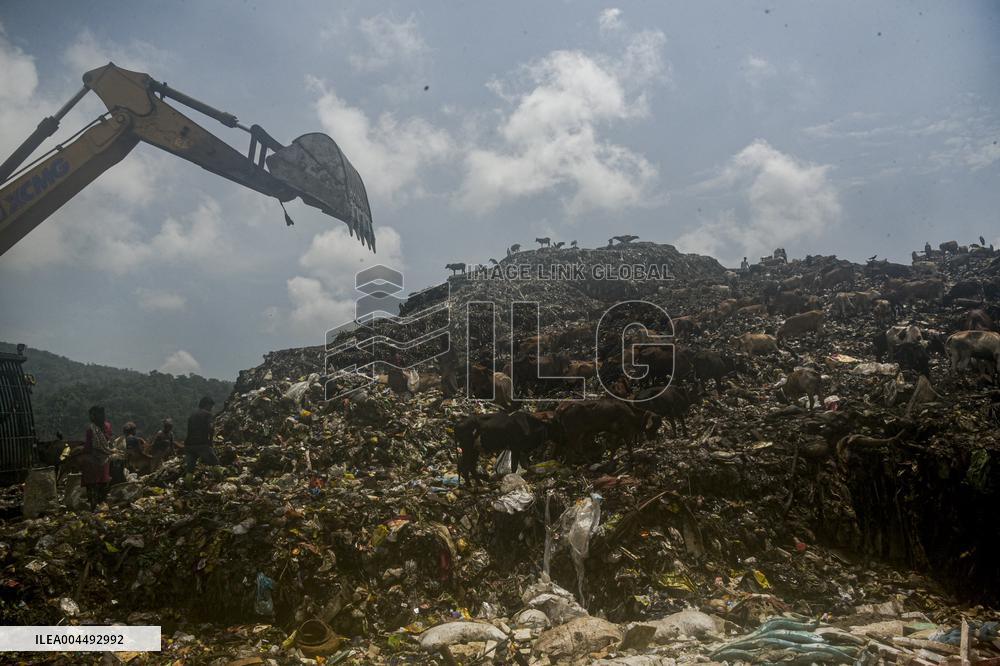 Guwahati Storks at Landfill - India