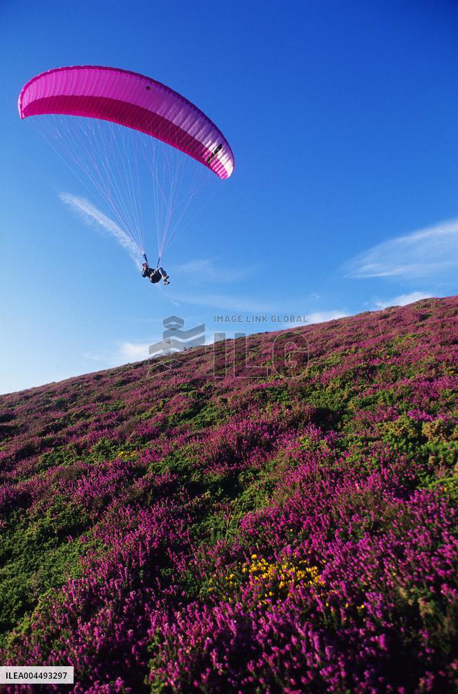 Illustration - Aerial View of France