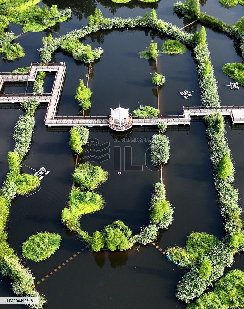 Sewage Treatment Plant