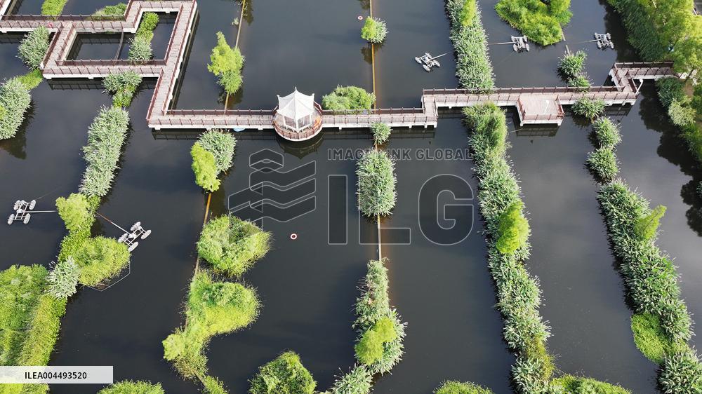 Sewage Treatment Plant