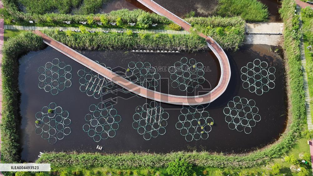 Sewage Treatment Plant