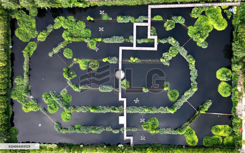 Sewage Treatment Plant