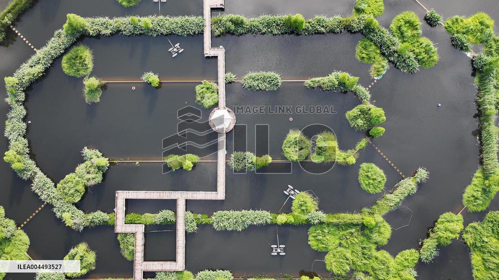 Sewage Treatment Plant