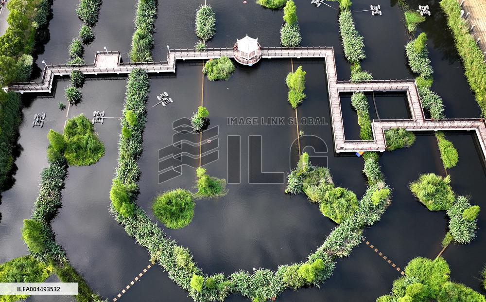 Sewage Treatment Plant