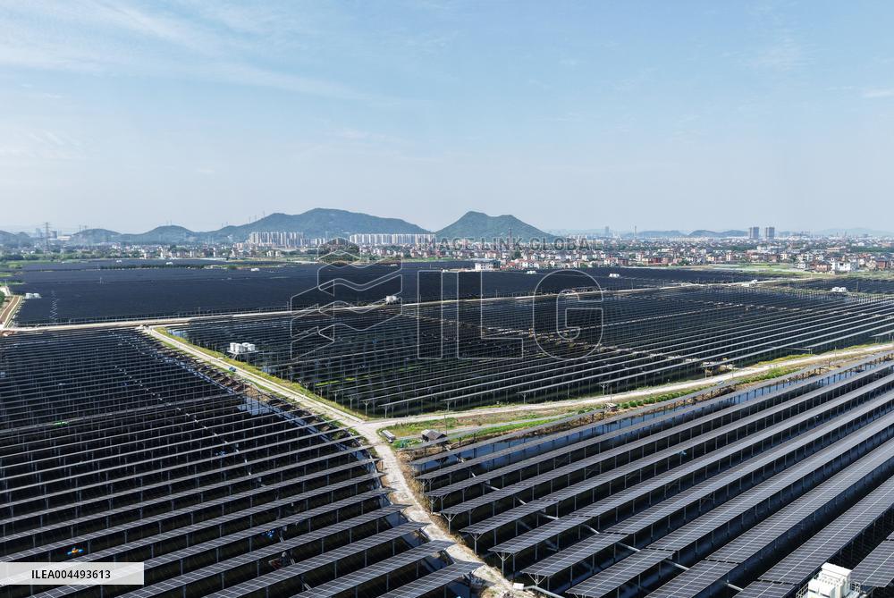 Wind and Solar Power Surpass Thermal Power in China