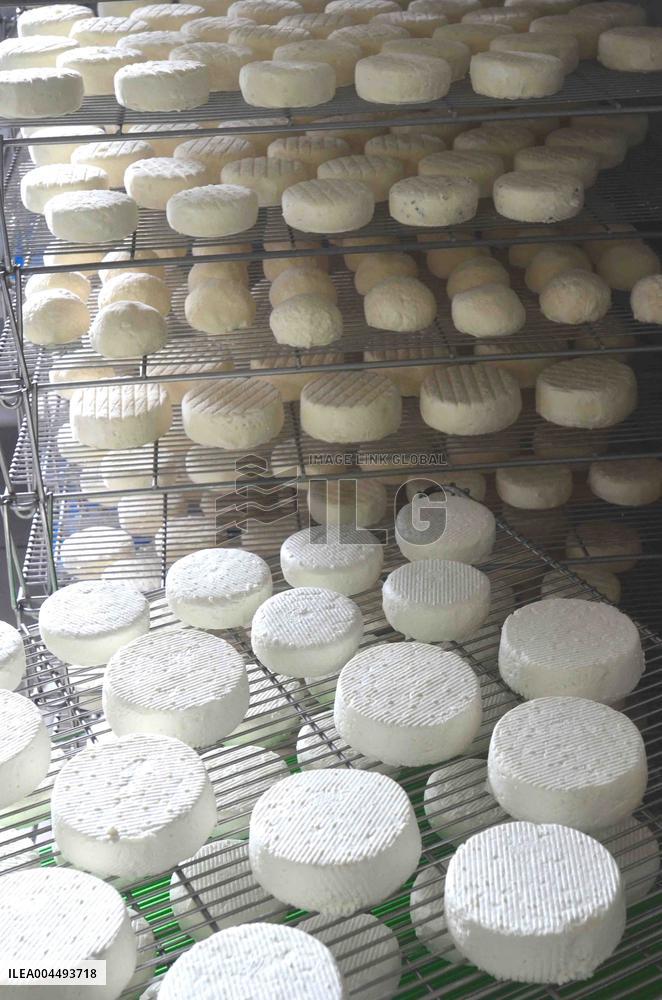 Illustration - Provence Food