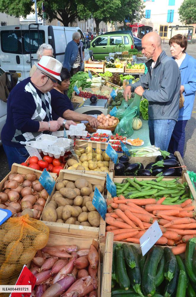Illustration - Provence Food