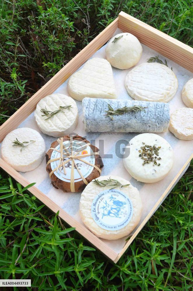 Illustration - Provence Food