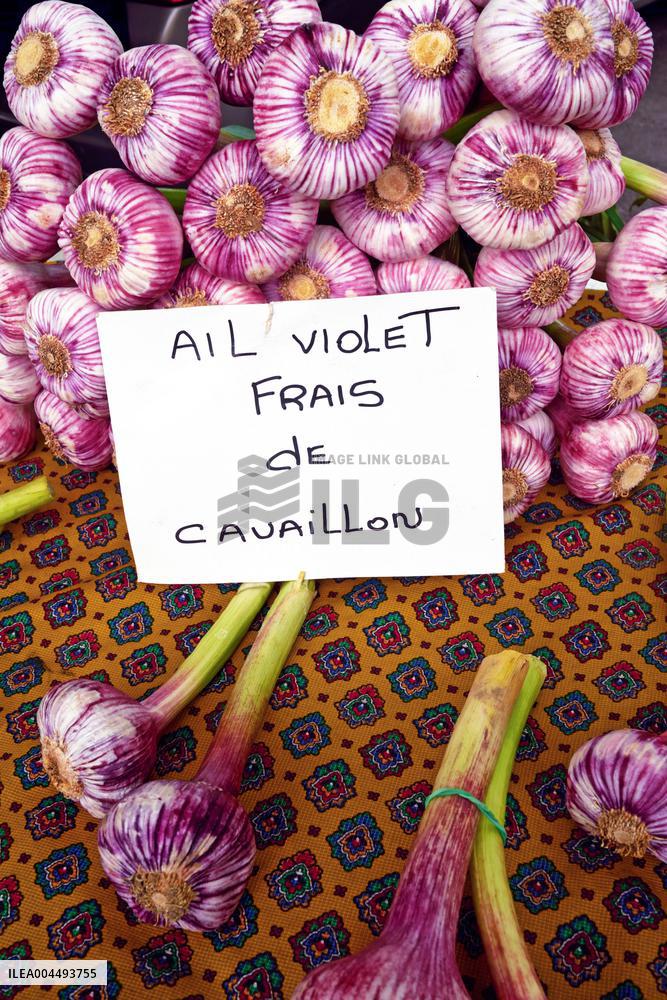 Illustration - Provence Food