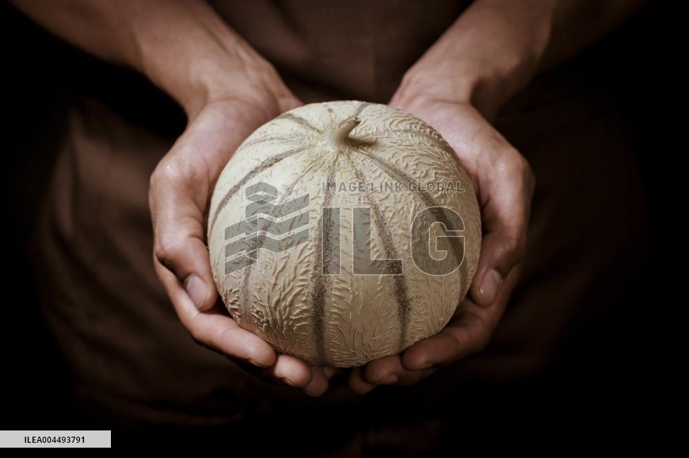 Illustration - Provence Food